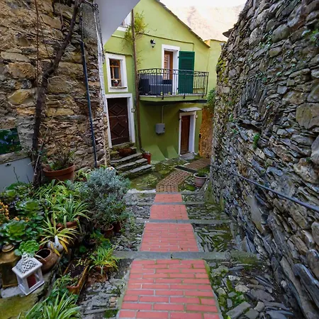 La Casa Della Musica *